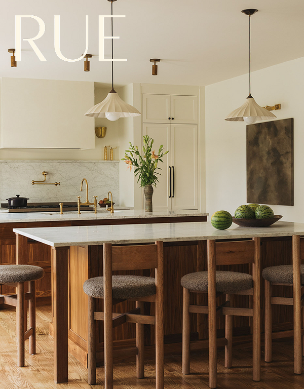 Modern European Design Meets Family Living Outside Chicago