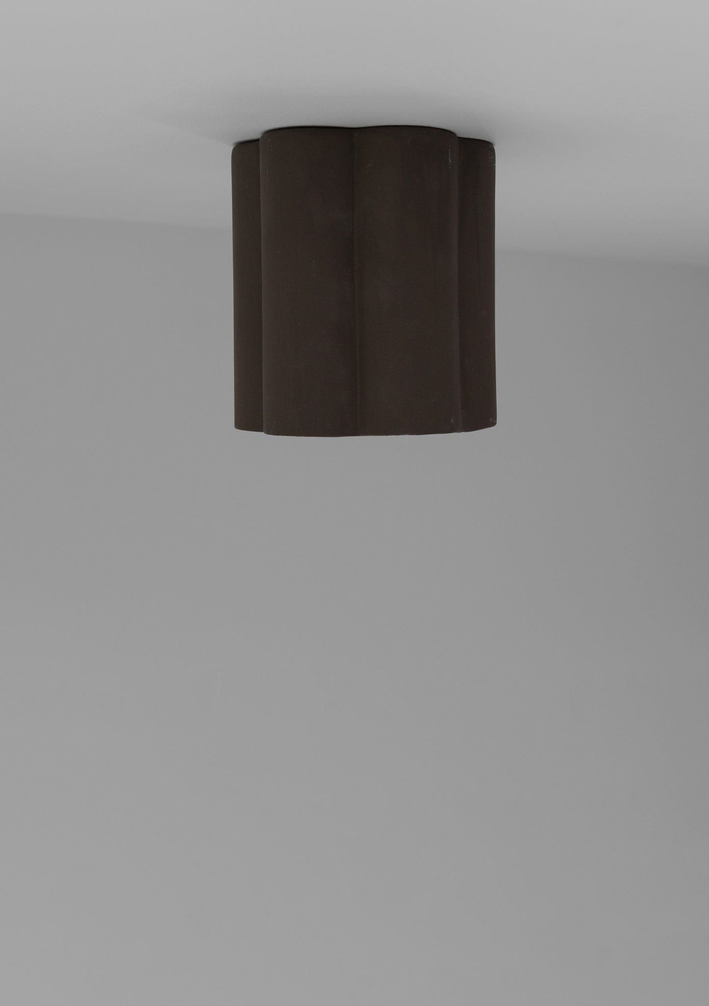 Lottie in chocolate -chocolate