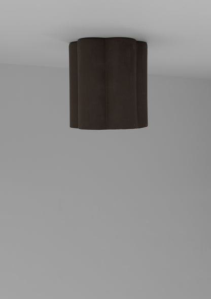 Lottie in chocolate -chocolate