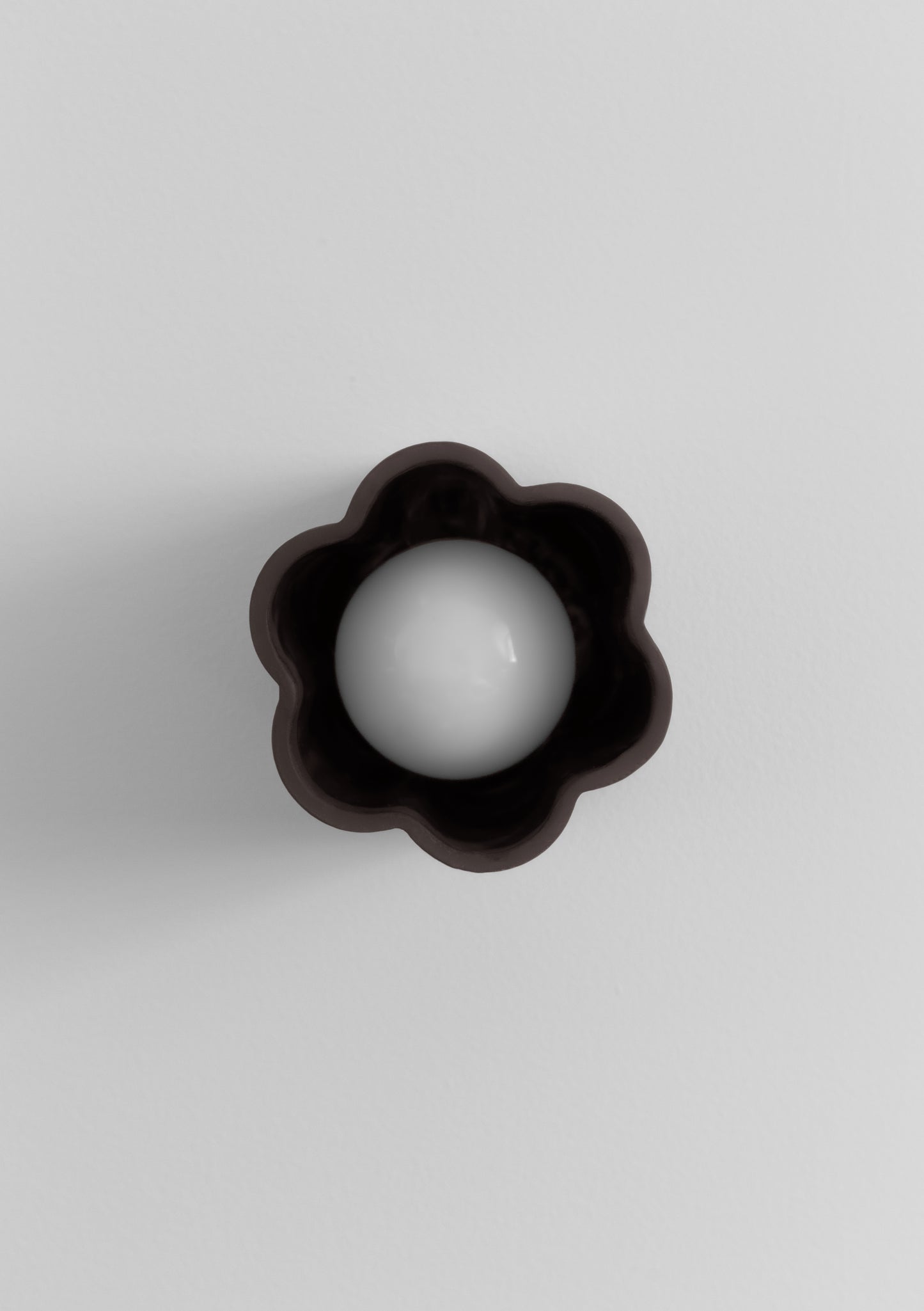 Lottie in chocolate -chocolate