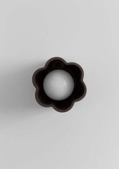 Lottie in chocolate -chocolate